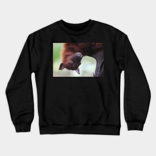 Fruit Bat Crewneck Sweatshirt